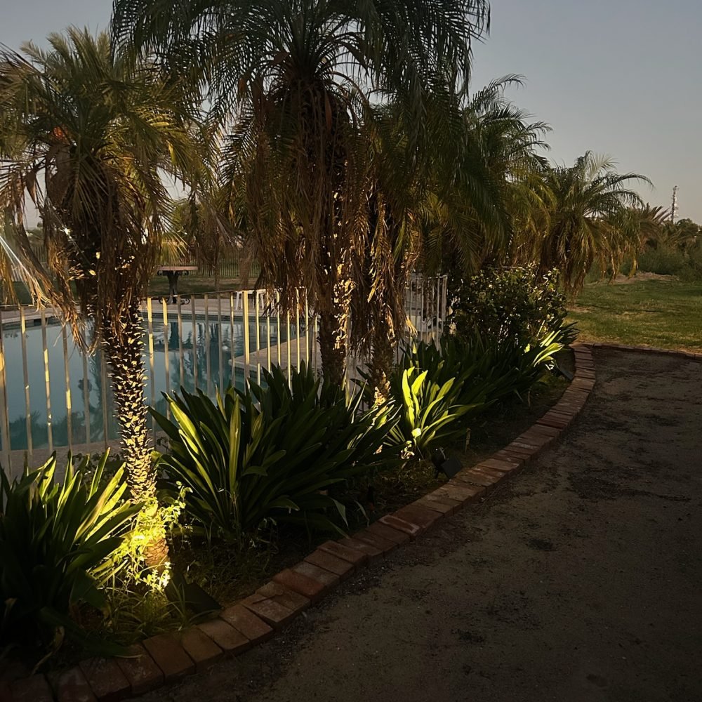 Pool Side Lights